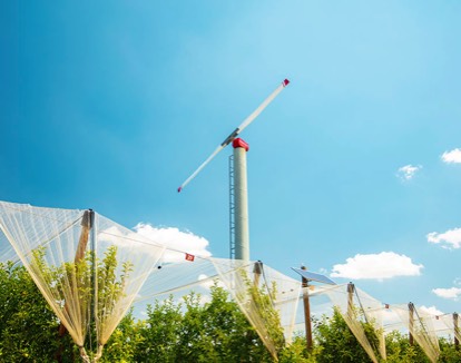 Wind machine and hailnets