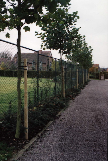 trees in a row attached with TREE - FIX