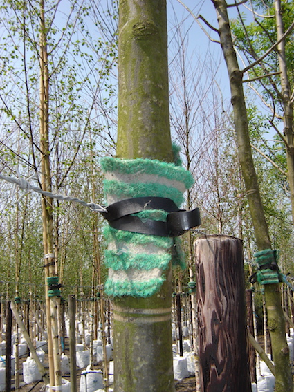 View on container trees attached with Tree - Fix